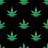 cannabisis