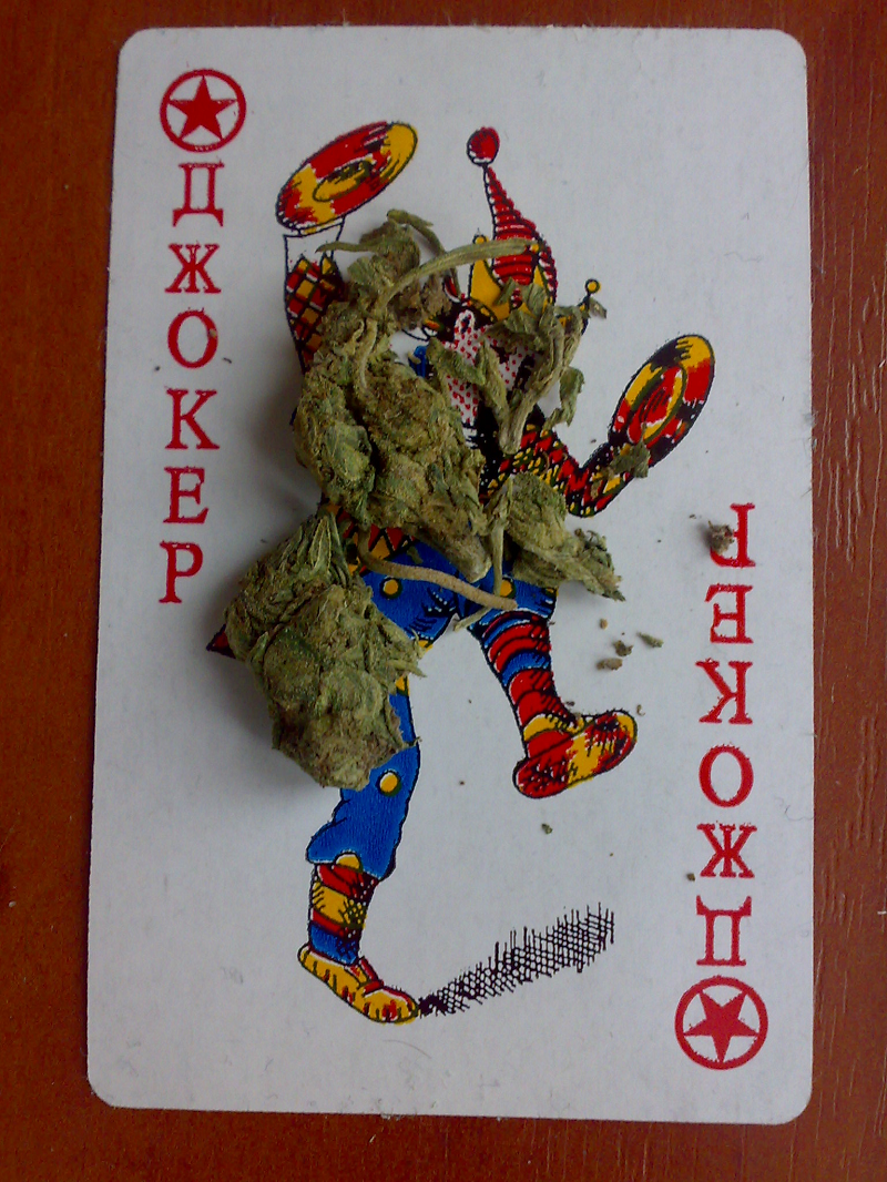 SkunkShop