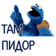 tampidor565