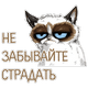 kotejkapriunil542